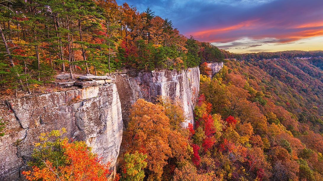 Days to Celebrate on Social in September 2025: Embracing a Greener Fall