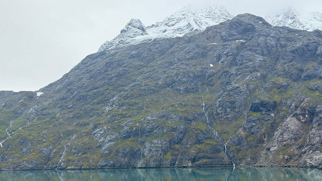 Days to Celebrate on Social in November 2025: Giving Back to the Planet